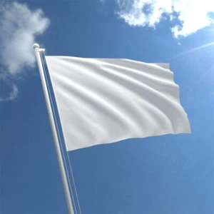 Bandera Blanca Lisa 5FT*3FT 150*90 cm - Imprime tu propio diseño Hágalo Usted Mismo - Imagen 1 de 3