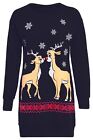 Womens Ladies Christmas Two Reindeer Sweatshirt Jumper Long Dress Top Plus Size