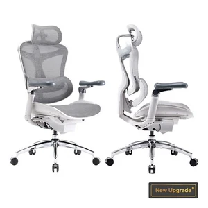 SIHOO Doro C300 Pro Ergonomic Office Chair with Ultra-Soft 6D Armrest - Picture 1 of 30