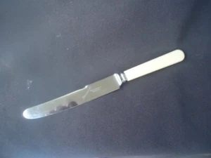 vintage Grosvenor bone handled handle bread & butter knife 21cm - Picture 1 of 3