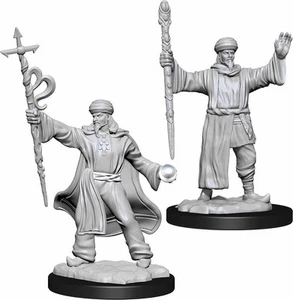 D&D Nolzur's Marvelous Unpainted Miniatures (W13) Human Wizard Male - Picture 1 of 1