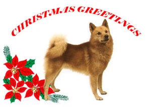 FINNISH SPITZ SINGLE DOG PRINT GREETING CHRISTMAS CARD - Picture 1 of 1
