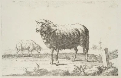 F. MEYER (19.Jhd), Schafe auf der Weide, um 1820, Lithographie Romantik - Bild 1 von 4