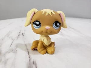 Littlest Pet Shop LPS Auténtico #951 Golden Retriever Perro Marrón Crema Ojos Azules - Imagen 1 de 5