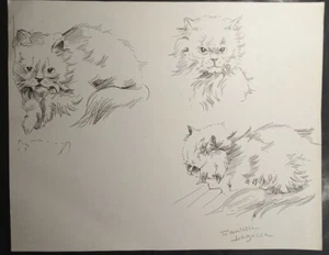 Le Chat Paulette Lagosse Stylo Sur Papier - Imagen 1 de 2