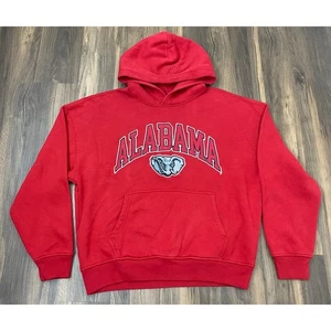 Hollister x Blue84 Alabama Crimson Tide Big Al boxy fit pullover hoodie, M - Picture 1 of 4