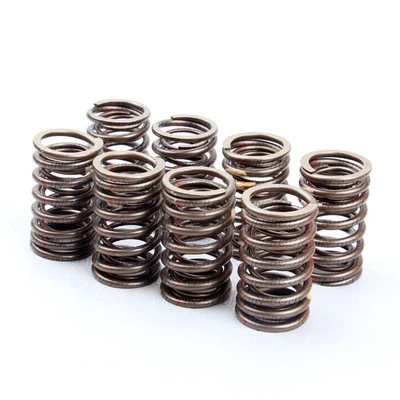 Inner & Outer Valve Spring Fits Mitsubishi Fuso Canter FE 4D34 4D34T 3.9L Turbo - Image 1 of 2