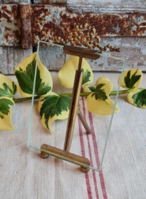 ANCIEN PETIT CADRE PHOTO NAPOLEON NOEUD DORE - Photo 1/4