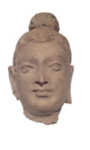 Gandharan Kushan Periode 2.-3. Jh. Stuck Buddha Kopf - Bild 1 von 7