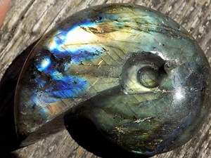 SUPREME FLASH LABRADORIT GESCHNITZT IN AMMONITEN SPEKTROLIT MADAGASKAR 8392 - Bild 1 von 11