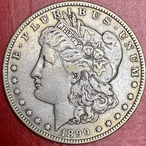 1899 MORGAN DOLLAR Cover