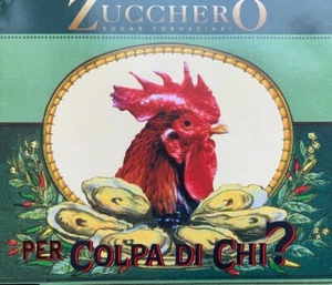 CD Single Promo Zucchero Sugar Fornaciari – Per Colpa Di Chi? Polydor 1995 - Picture 1 of 3