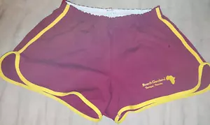 "Pantaloncini da corsa vintage anni '70 Champion, Busch Gardens, Florida L/XL 32""-38" - Foto 1 di 9