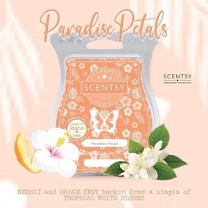 Scentsy  3 Wax Bar Bundle - Picture 1 of 3