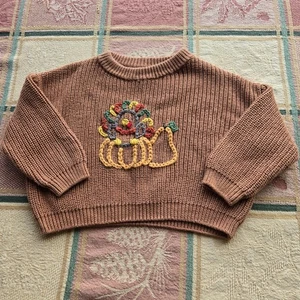 No Tag Brown Knit Sweater Upcycled Hand Embroidered Turkey Pumpkin Size 6 To 9m - Picture 1 of 9