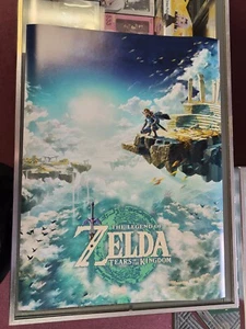 The Legend of Zelda Tears of Kingdom cover art promotional 18x24 poster - Picture 1 of 4