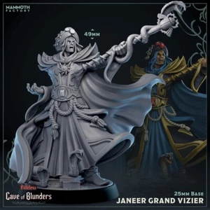 Janeer Großwesir Höhle der Fehler Mammutfabrik D&D Miniatur Wargaming - Bild 1 von 1