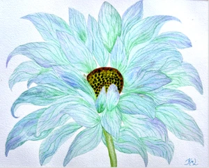 PAINTING WATERCOLOR 11X14 MAT 16X20 FLOWER DAISY GERBERA BLUE LAVENDER ORIGINAL - Picture 1 of 2