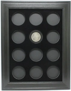 12 MORGAN / PEACE DOLLAR COINS (NOT INCLUDED) WALL DISPLAY PICTURE FRAME 9"x12" - Picture 1 of 4
