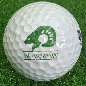 Bear's Paw Country Club Logo Golfball (Neapel, Florida) - Bild 1 von 7