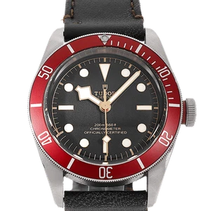Tudor Black Bay Automático 41mm Pre-owned - Muy Bien 79230R Acero Inox 2022 - Imagen 1 de 4