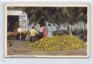 Puerto Rico - Paking Grape Fruit - Publ. Waldrop - Picture 1 of 2
