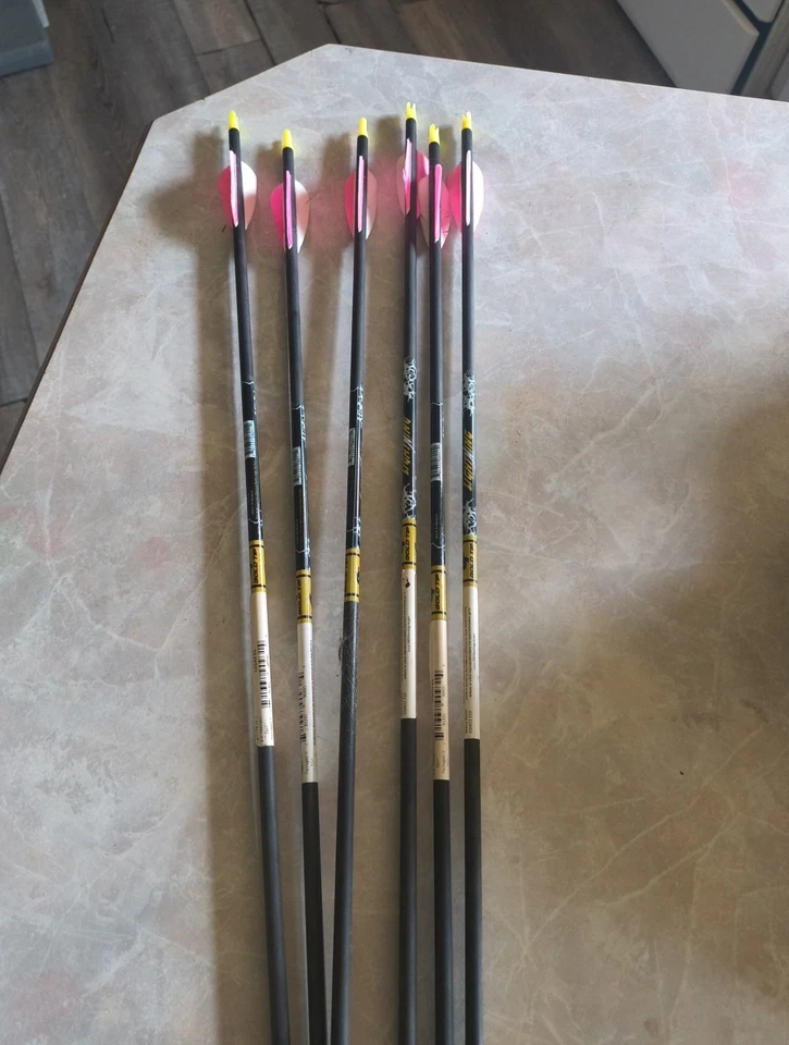 6 New Silver Tip Lightning Arrows, 1/2 doz. Points Installed Practice Arrows - Image 1 of 3
