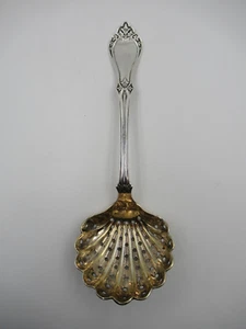 Antik um 1890 Sterling Silber Zucker Sieb Löffel mit Goldwäsche durchbohrt Muschel Schale - Bild 1 von 7