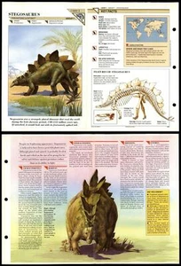 Stegosaurus #1 Extinct Wildlife Fact File Fold-Out Card - Picture 1 of 1