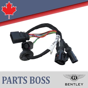 Bentley Bentayga 2017-2020 OEM NEW Side Step Motor Composite Wiring Harness - Bild 1 von 9