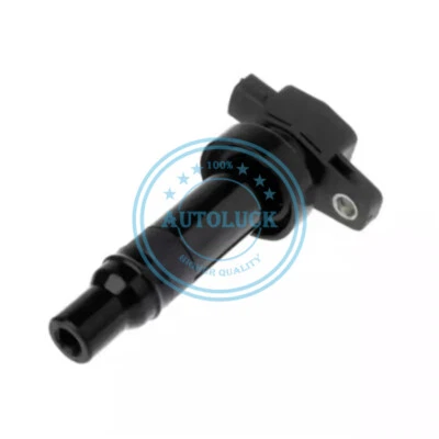 1PCS Ignition Coil 27301-3E400 for Hyundai Santa Fe Kia Rondo 2007-2011 2.4 2.7 - Изображение 1 из 4