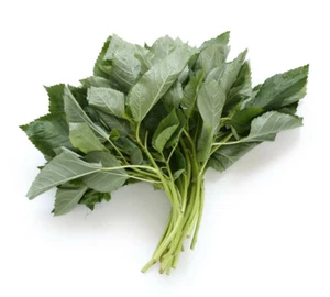 1000+ Molokhia - Egyptian Spinach Seeds,Rau Day,Saluyot Heirloom, Non-GMO - Picture 1 of 7