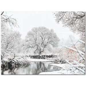 Winter Keramik Fliese Wandbild PT501227. 17" B x 12,75" H (12) 4,25 Fliesen - Bild 1 von 1