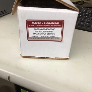Marsh Bellofram P50 NACE 0-60 PSI 40 micron filter Valve Belgas BAS - Picture 1 of 3