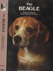 THE BEAGLE (1975) MARCIA A. FOY, ILLUSTRATED COLOR PHOTOS DOG BREEDS PETS - Picture 1 of 1