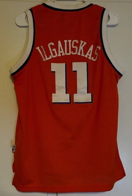 Zydrunas Ilgauskas Cleveland Cavaliers NBA Jersey Youth L Sewn Adidas HWC #11 - Image 1 of 4