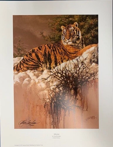 Siberian by Greg Beecham Tiger Print 12x15 — 第 1/1 张图片