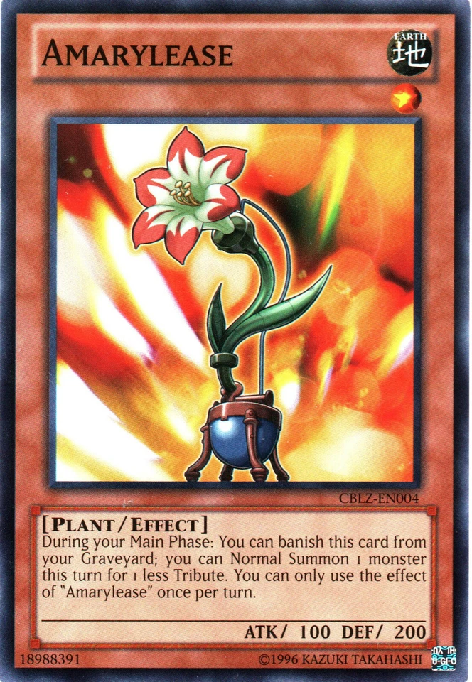 CBLZ-EN004 Amarylease aus Cosmo Blazer - Bild 1 von 1