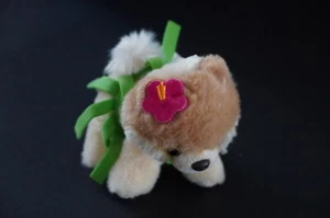 GUND BOO THE WORLD'S CUTEST DOG IN HAWAII HULA COSTUME 5" PLUSH - Picture 1 of 5