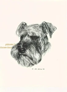 #9 SCHNAUZER uncropped portait dog art print * Pen and ink drawing * Jan Jellins - Picture 1 of 1