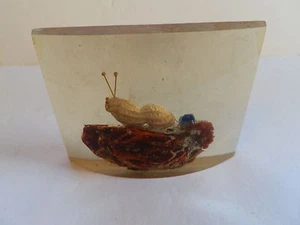 COLLECTIBLE PAPERWEIGHT (198X) PEANUT "CATERPILAR in Plastic - Picture 1 of 1