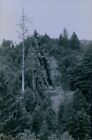 1940 Stara kopalnia na Silverado Mt St Helena CA zdjęcie prasowe