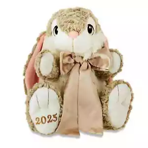 Way to Celebrate! Easter 2025 Hoppy Hopster Bunny Rabbit Plush Stuffed Brown New - Picture 1 of 5