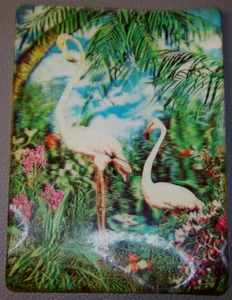 50er 60er Jahre 3D linsenförmig 4,75 x 6,5 Zoll unbenutzt Postkarte zwei Flamingos - Bild 1 von 1