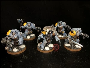 Warhammer 40K DPS painted Space Wolves Wolf Guard Terminators SK6208 - Picture 1 of 8