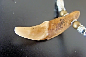 GROSSER 1-5/8" WOLF Zahn Anhänger Halskette Schmuck - einzigartiger Zahn mit Perlenakzenten - Bild 1 von 4