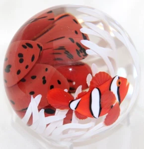 MEISTERHAFTER Magnum ORIENT & FLUME Clown FISCH Aquarium Kunst Glas BRIEFBESCHWERER - Bild 1 von 10