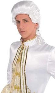 Colonial Wig - Picture 1 of 1