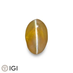 IGI Certified HONEY Chrysoberyl Cat's Eye 2.51 Ct. Natural Untreated OVAL Rare - Picture 1 of 8
