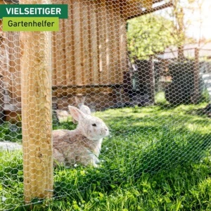 Volierendraht, Drahtzaun, verzinkt - Bild 1 von 1